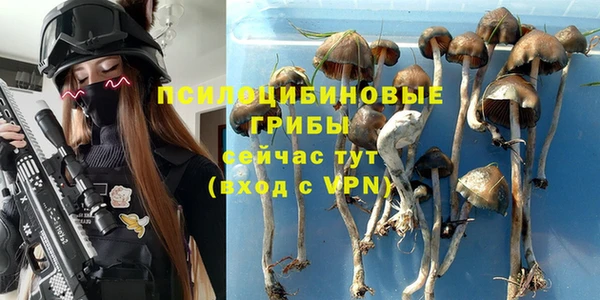 не бодяженный Абдулино