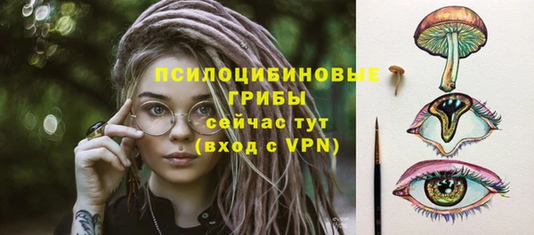Альфа ПВП Абаза