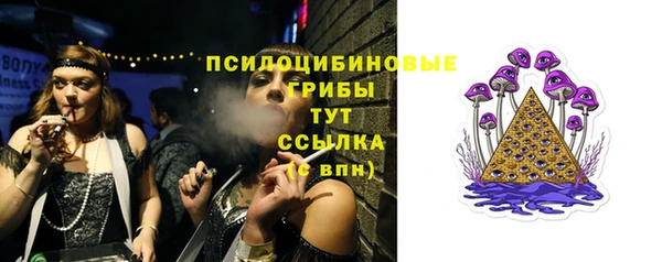 Альфа ПВП Абаза