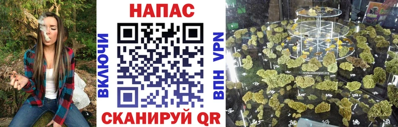 Бошки Шишки планчик  Тимашёвск 
